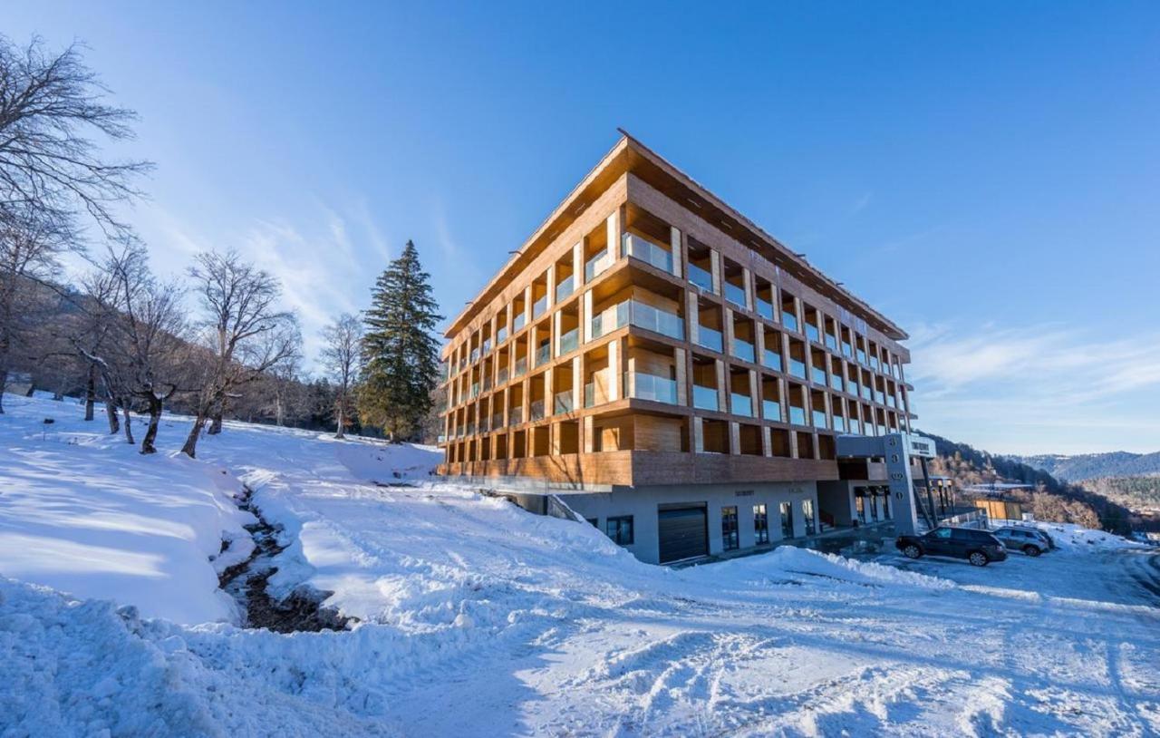 The Valley Bakuriani Belle Epoque Apartment المظهر الخارجي الصورة